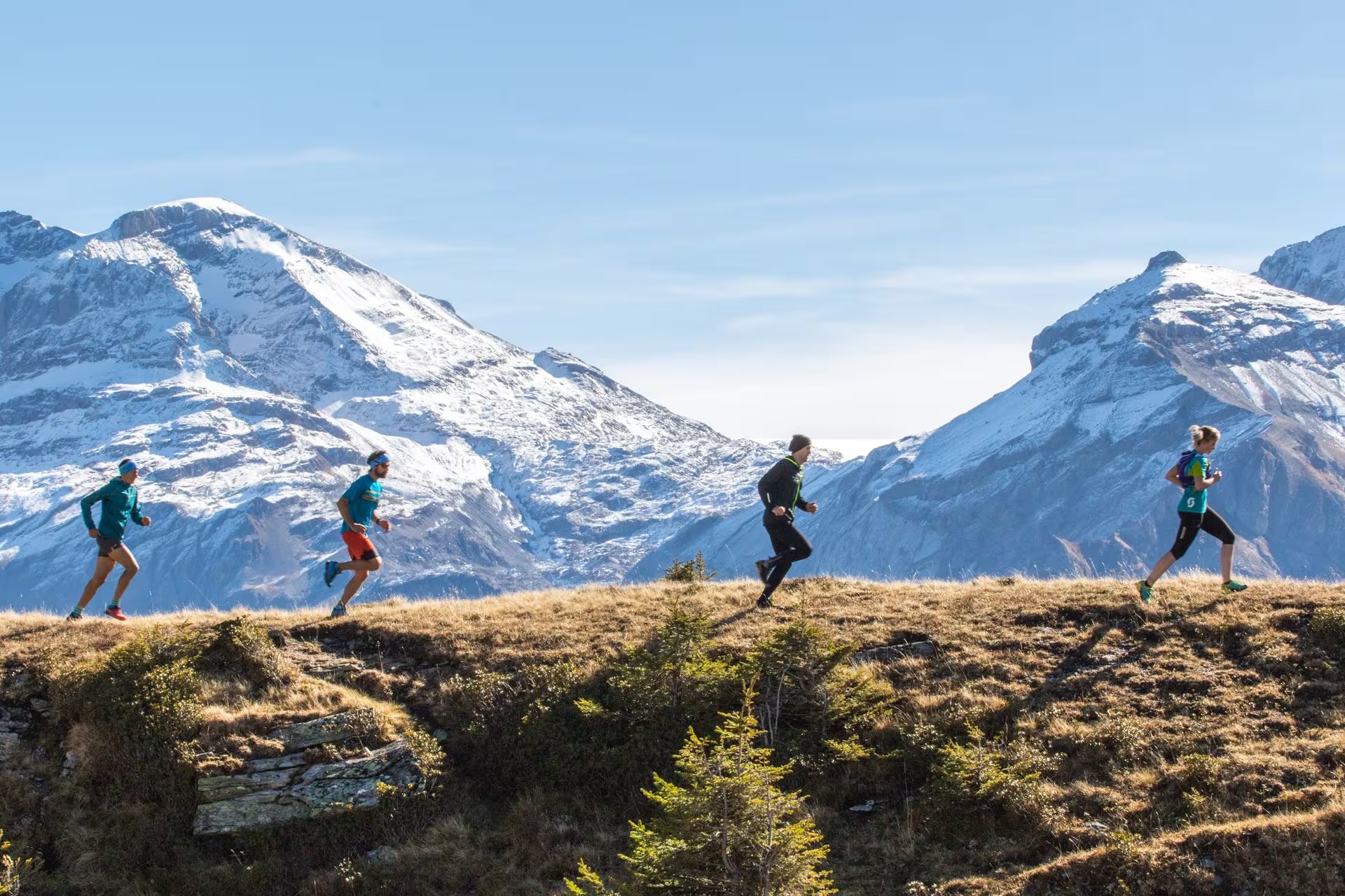 Immersion Alpin